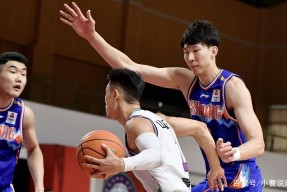 aiyouxi-外援双双砍下高分，领队成功逆转(外援是谁)